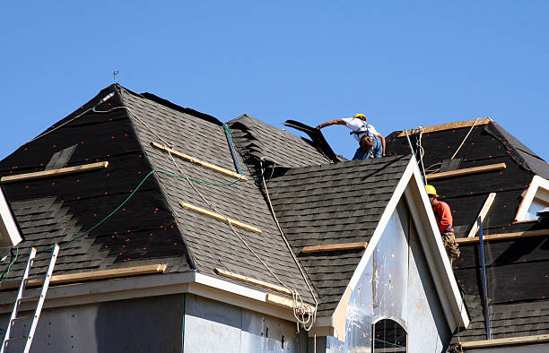 Best Metal Roofing Contractor  in Borden, IN