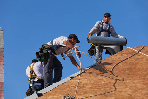Best Emergency Roof Repair  in Borden, IN